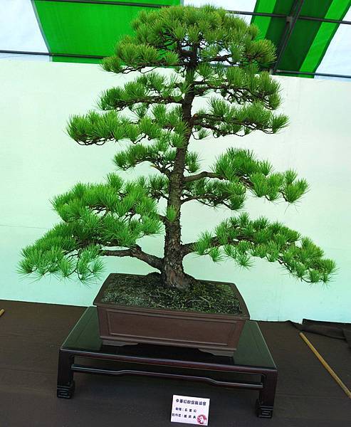 DSC_6104.jpg DSC_6104.jpg