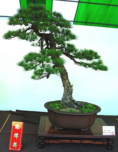 DSC_6106.jpg DSC_6106.jpg