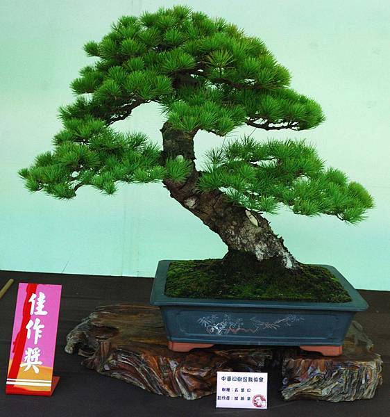 DSC_6110.jpg DSC_6110.jpg