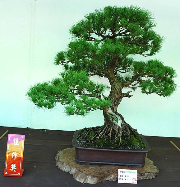 DSC_6108.jpg DSC_6108.jpg