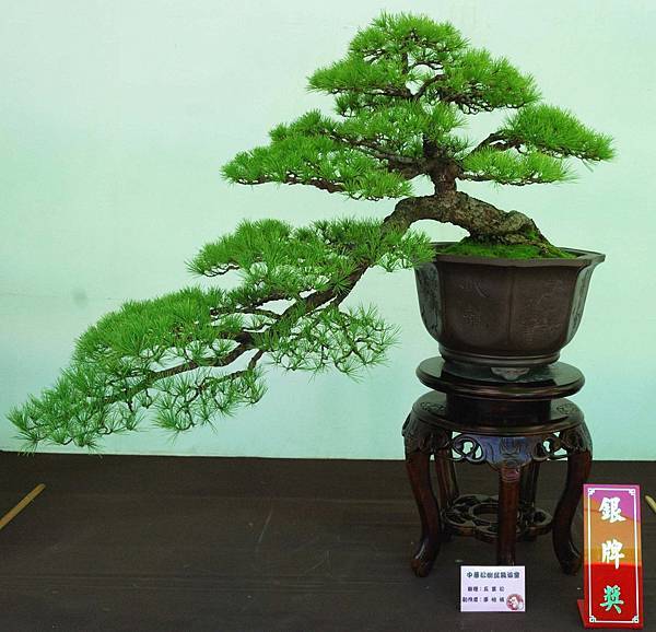 DSC_6114.jpg DSC_6114.jpg