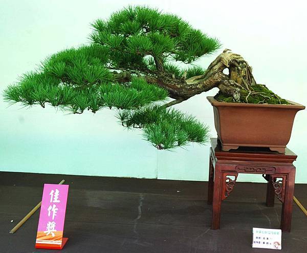 DSC_6112.jpg DSC_6112.jpg