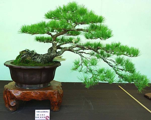 DSC_6116.jpg DSC_6116.jpg