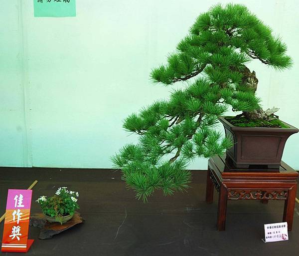 DSC_6120.jpg DSC_6120.jpg