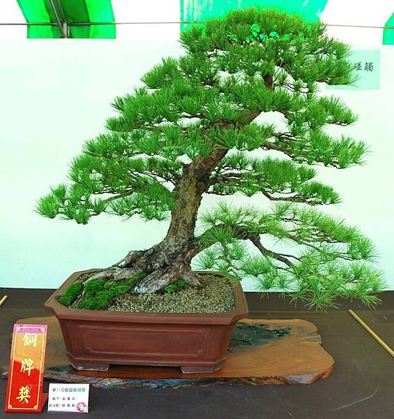 DSC_6118.jpg DSC_6118.jpg