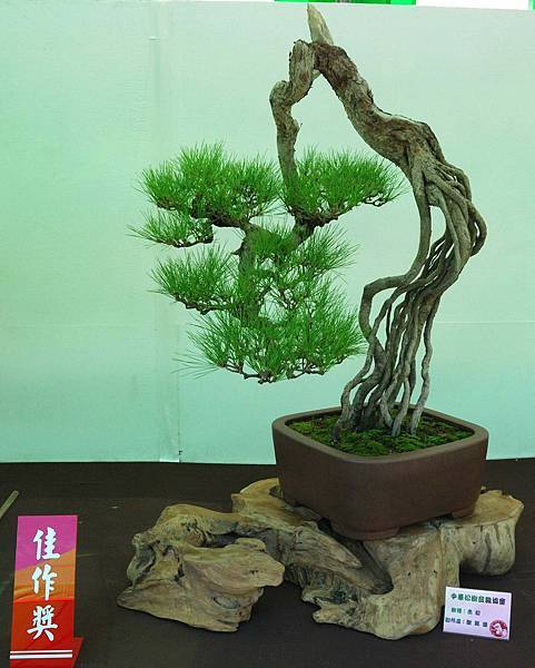 DSC_6125.jpg DSC_6125.jpg