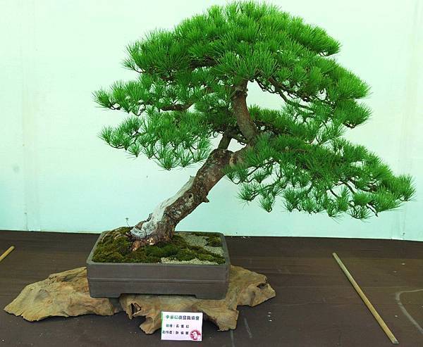 DSC_6123.jpg DSC_6123.jpg