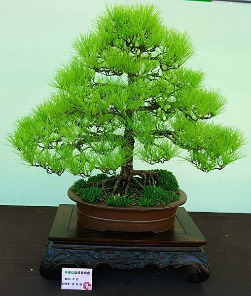 DSC_6127.jpg DSC_6127.jpg