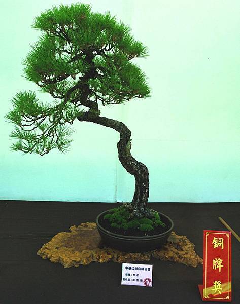 DSC_6129.jpg DSC_6129.jpg