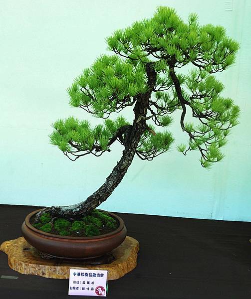 DSC_6131.jpg DSC_6131.jpg