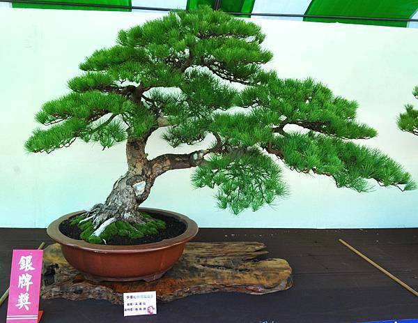 DSC_6133.jpg DSC_6133.jpg