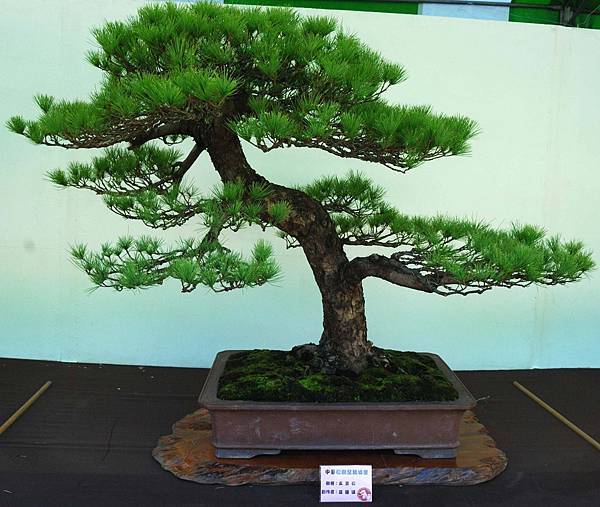 DSC_6135.jpg DSC_6135.jpg