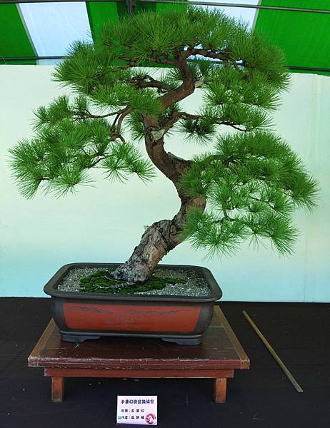 DSC_6137.jpg DSC_6137.jpg