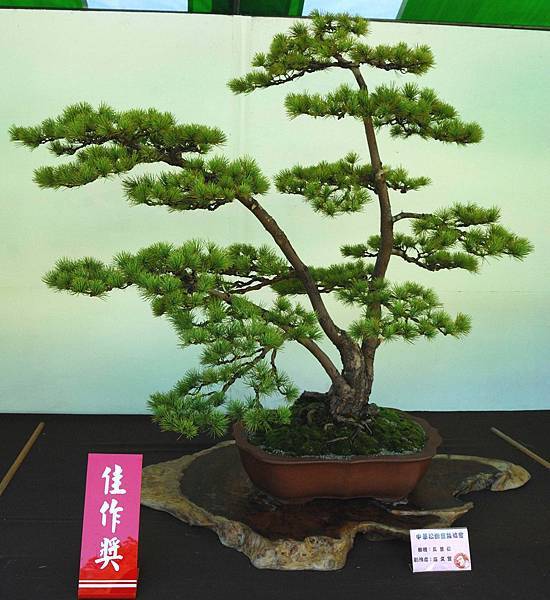 DSC_6141.jpg DSC_6141.jpg