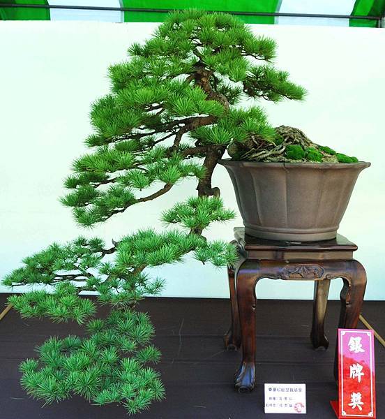 DSC_6139.jpg DSC_6139.jpg