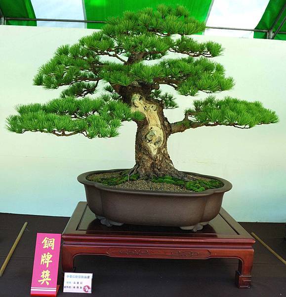 DSC_6143.jpg DSC_6143.jpg