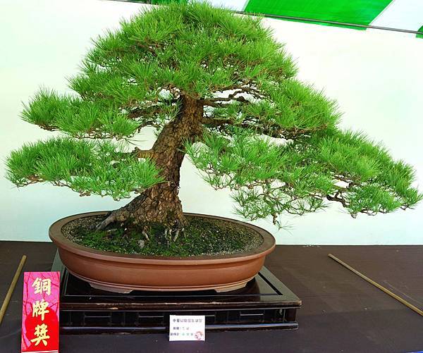 DSC_6145.jpg DSC_6145.jpg