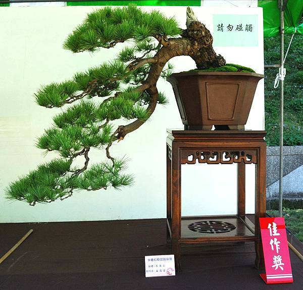 DSC_6147.jpg DSC_6147.jpg