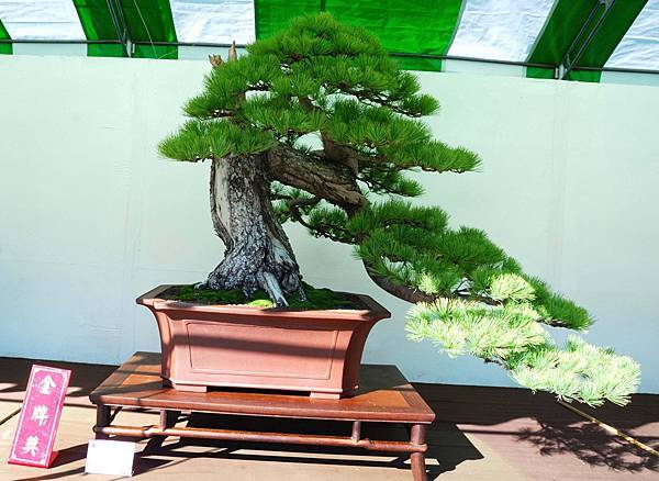 DSC_6149.jpg DSC_6149.jpg