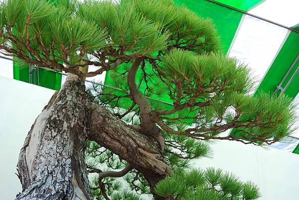 DSC_6151.jpg DSC_6151.jpg