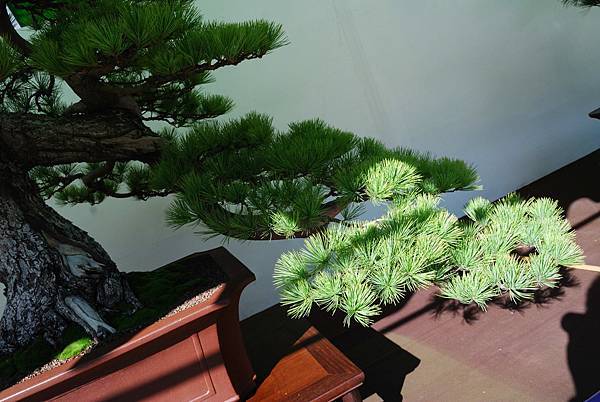 DSC_6153.jpg DSC_6153.jpg