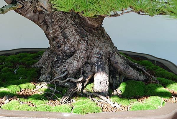 DSC_6157.jpg DSC_6157.jpg