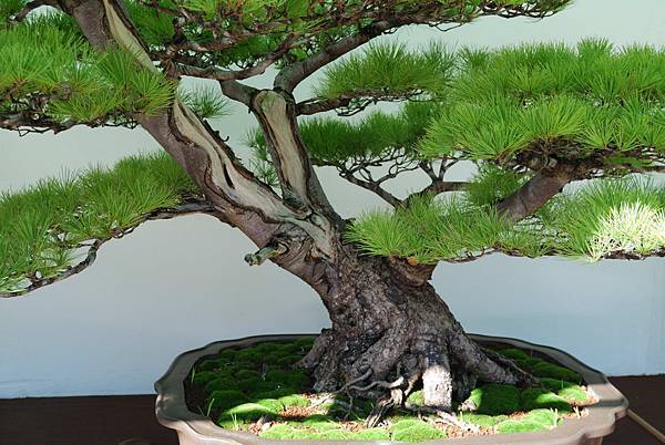 DSC_6158.jpg DSC_6158.jpg