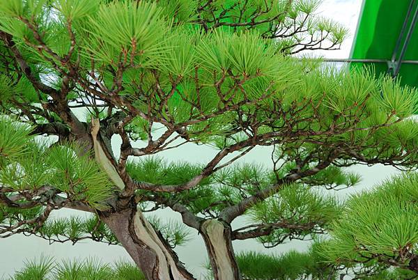 DSC_6160.jpg DSC_6160.jpg