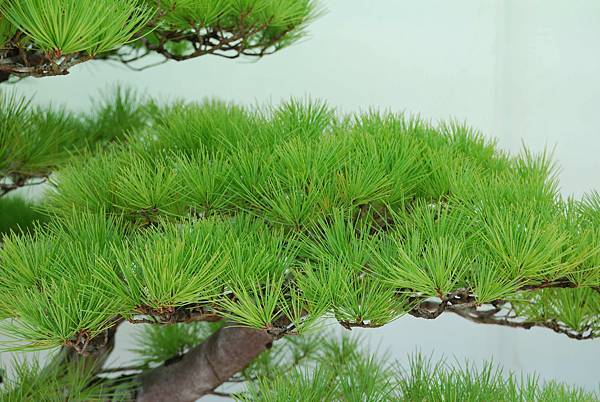 DSC_6162.jpg DSC_6162.jpg