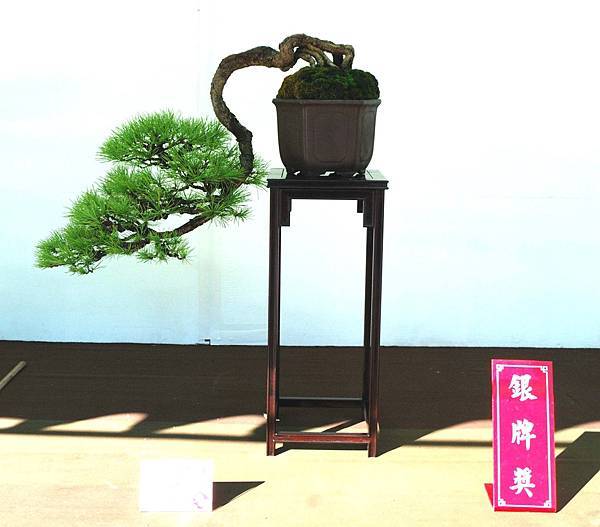 DSC_6163.jpg DSC_6163.jpg