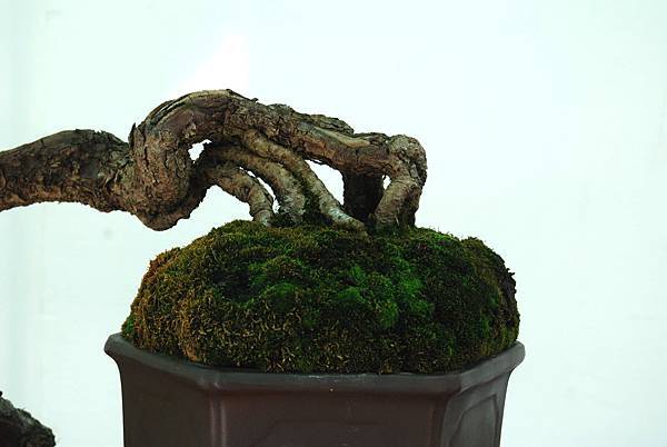 DSC_6165.jpg DSC_6165.jpg