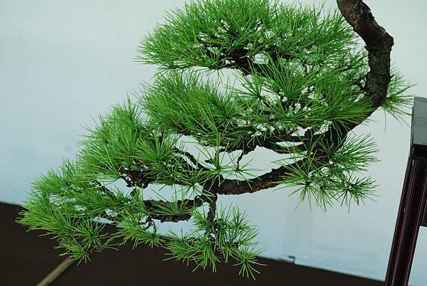 DSC_6166.jpg DSC_6166.jpg