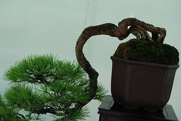 DSC_6168.jpg DSC_6168.jpg