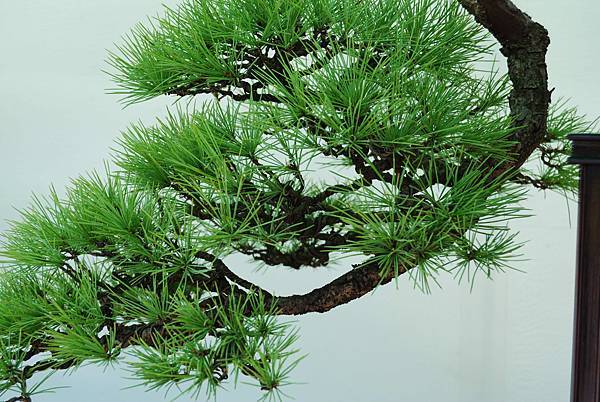 DSC_6167.jpg DSC_6167.jpg