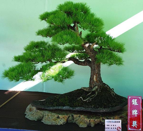 DSC_6169.jpg DSC_6169.jpg