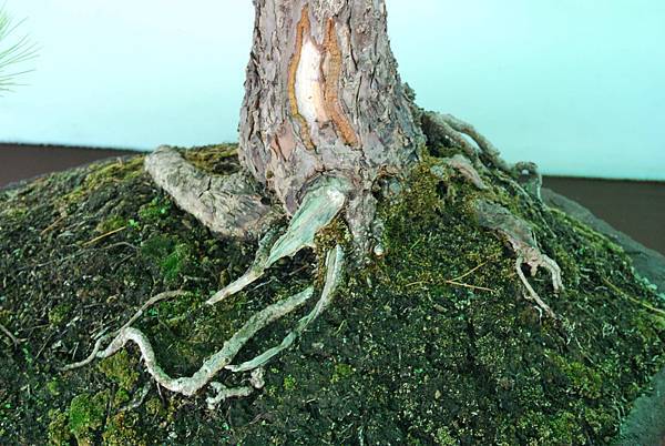 DSC_6171.jpg DSC_6171.jpg