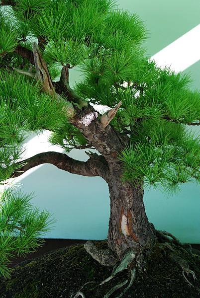 DSC_6172.jpg DSC_6172.jpg