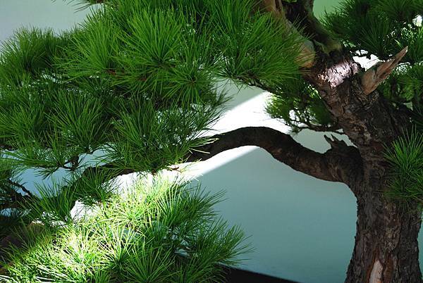 DSC_6173.jpg DSC_6173.jpg