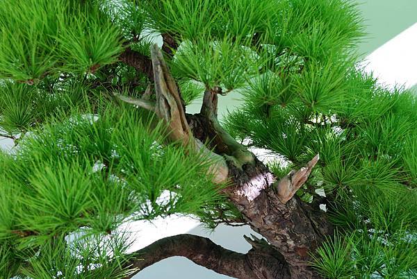 DSC_6174.jpg DSC_6174.jpg