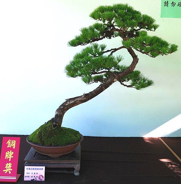 DSC_6176.jpg DSC_6176.jpg