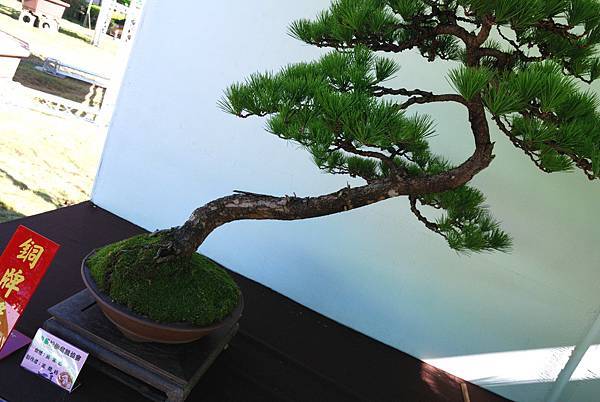 DSC_6178.jpg DSC_6178.jpg