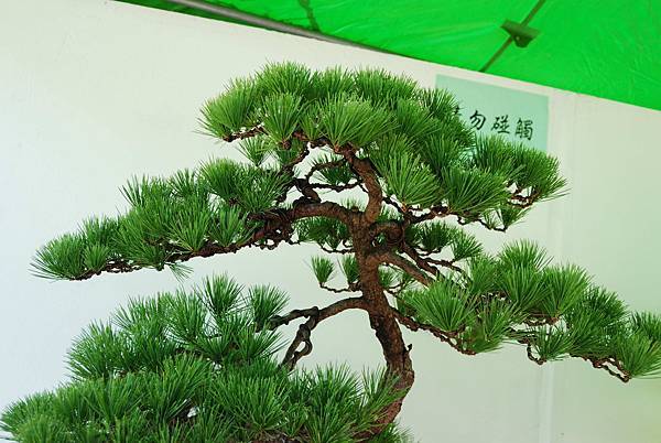 DSC_6180.jpg DSC_6180.jpg