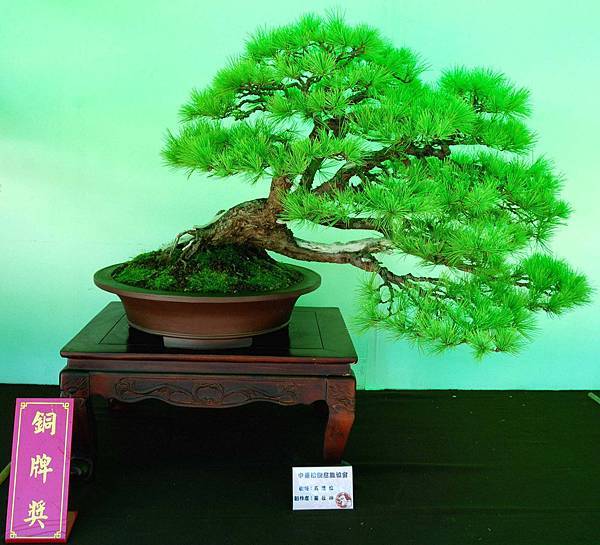 DSC_6182.jpg DSC_6182.jpg