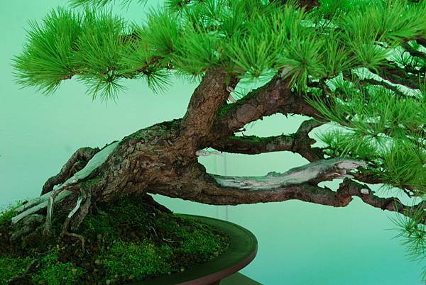 DSC_6185.jpg DSC_6185.jpg