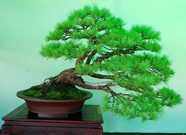 DSC_6186.jpg DSC_6186.jpg