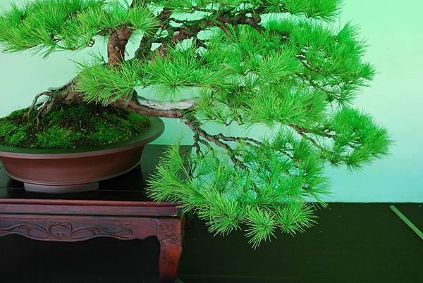 DSC_6187.jpg DSC_6187.jpg