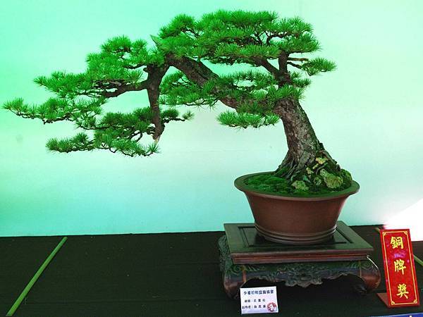 DSC_6189.jpg DSC_6189.jpg