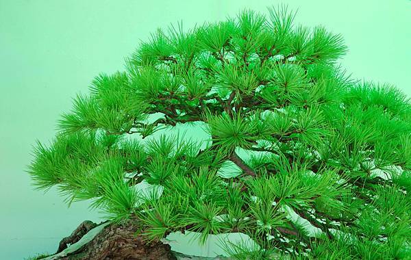 DSC_6188.jpg DSC_6188.jpg