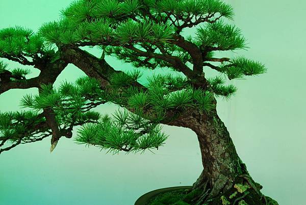 DSC_6192.jpg DSC_6192.jpg