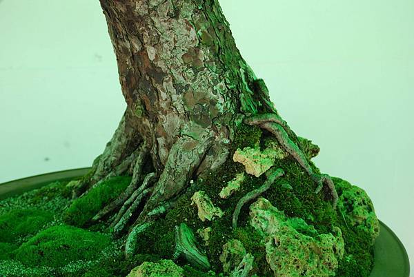 DSC_6191.jpg DSC_6191.jpg